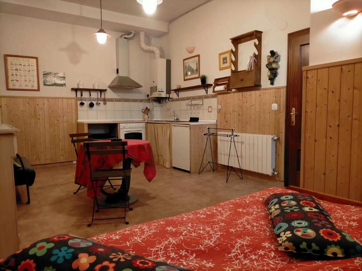 In One. Todo En Uno. Apartament Berriz